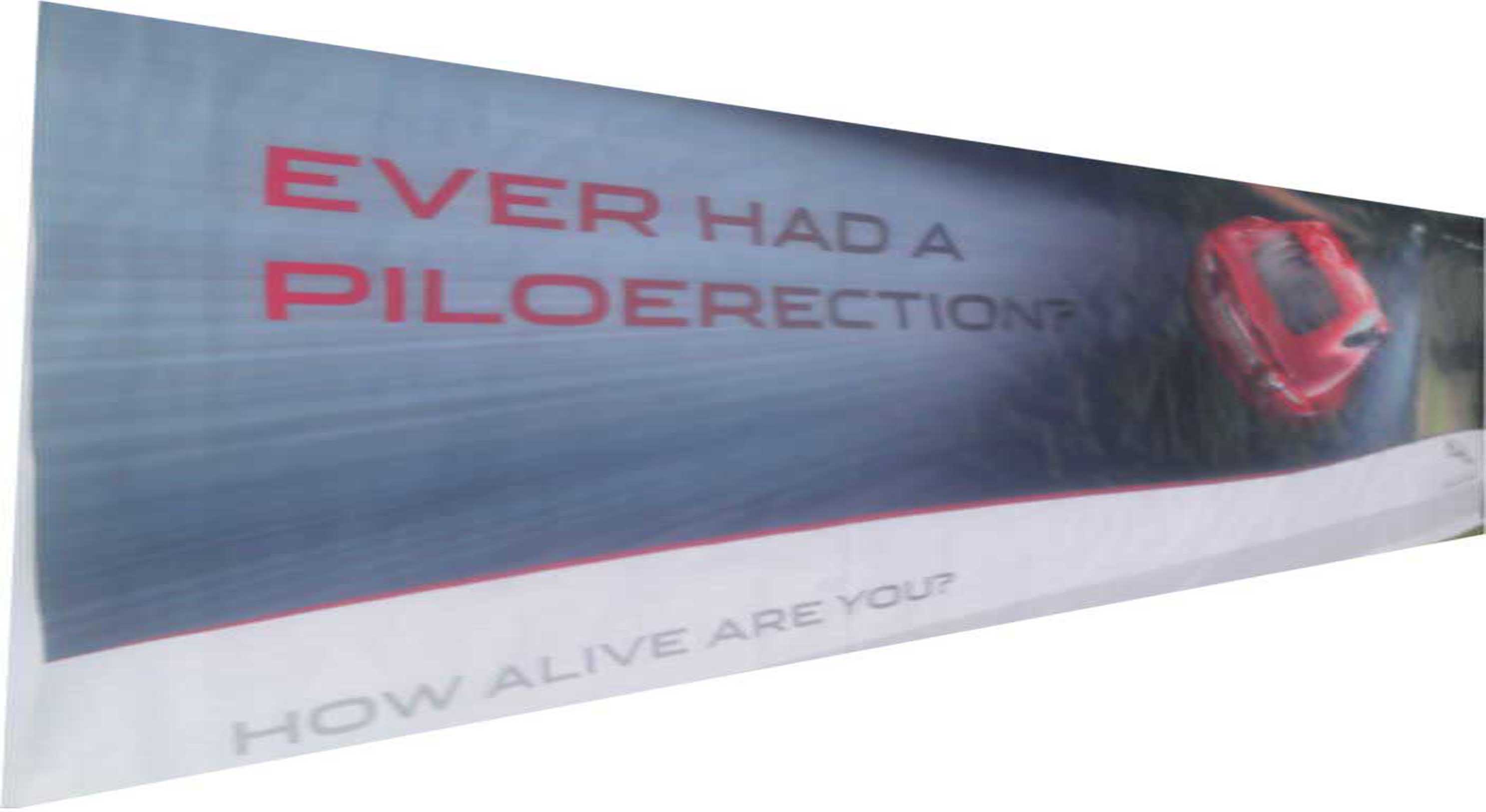 Jaguar Bedfordview Printed Banner